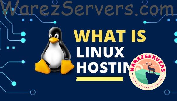 Top 5 way to Maximizing ROI with Economy Linux Hosting from VpsBunker.Com feeq